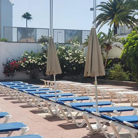 Apartment Camelias D13
