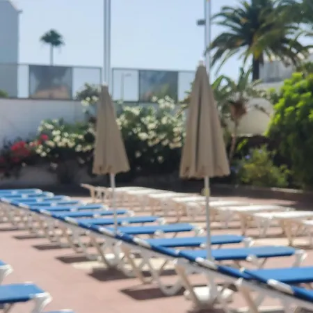 Camelias D13 Apartment