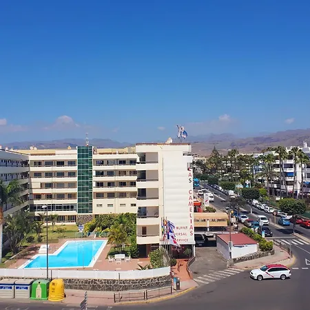Apartment Camelias D13